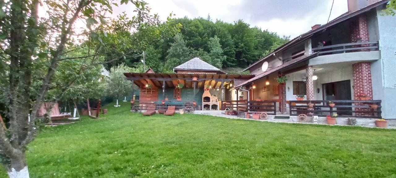 Cabana Ana Vadu Motilor Exterior foto